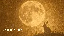 1. Sake Hundred Byakko Mid Autumn's Festival Rabbit & Moon.webp