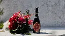 11. Sake Hundred Byakko Mid Autumn's Festival - Bottle & Flowers.webp