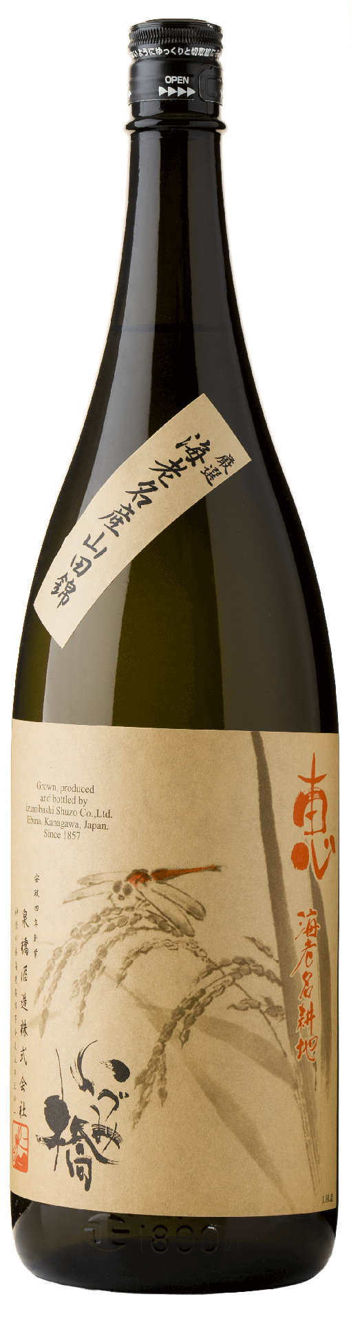 [IZUMI01_1800_L3M] Izumibashi Megumi Ebina Gochi Junmai 80 Namacho (1800ml) [Direct from Japan]
